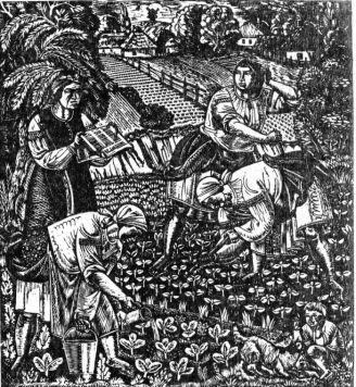 Полільниці ,1928